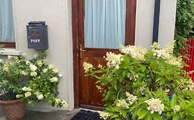 Carey'S Bar & Farmhouse Kilkenny Border